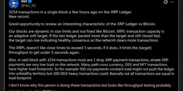 XRP Ledger Broke Its Transaction Record, and 20 Wallets Did Most of It