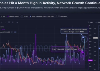 XRP Tops $1.60 as 1,917 Whale Transactions Hit Monthly High