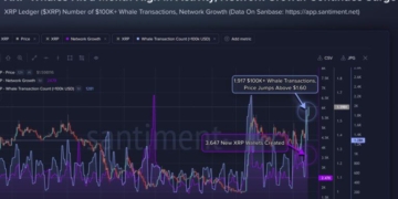XRP Tops $1.60 as 1,917 Whale Transactions Hit Monthly High